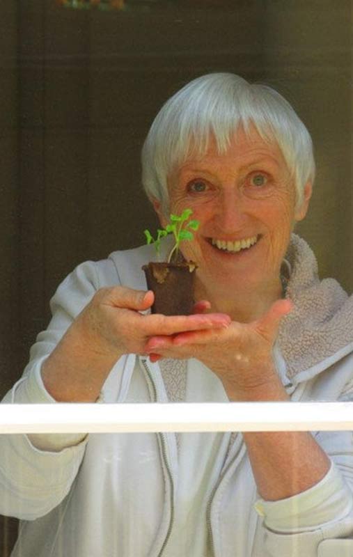 Image of Irish author Felicity Hayes-McCoy, seen through a window, holding a tiny potted plant. From a photo shoot for a newspaper piece about her Finfarran novel The Heart of Summer, taken 2020 during Covid lockdown in London